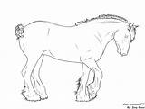 Clydesdale Coloring Lines Deviantart Designlooter Drawings 682px 27kb sketch template