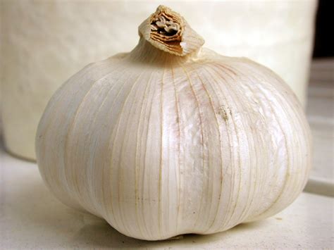 herbal extract companys garlic supplement pictures