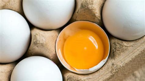 ostern  kann man eier einfrieren acht fakten rund ums ei geld