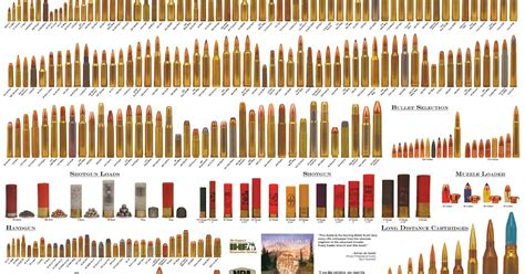 ammo  gun collector standard cartridges