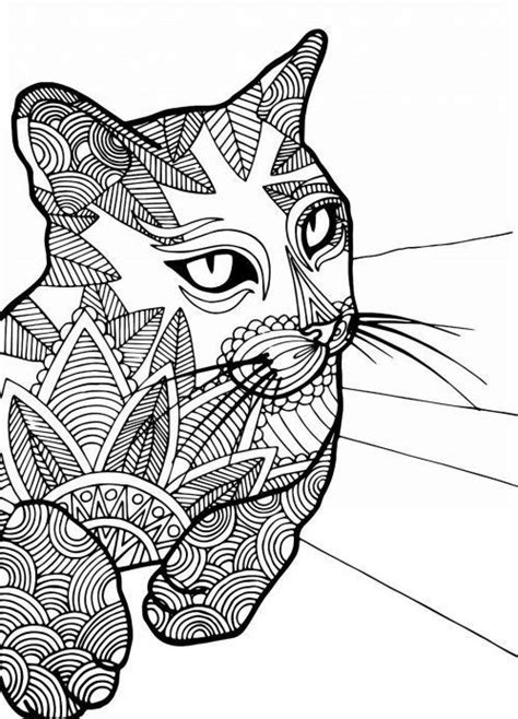 pin  mary hollis bacon  coloring cat cat pattern cats dog images