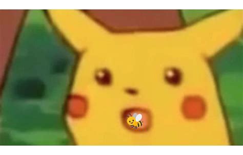 pikachu eats   rweeatbees