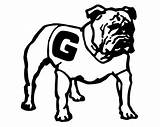 Coloring Georgia Bulldog Pages Bulldogs Drawings University Printable Color Print Logo Drawing Clipart Template Getcolorings Getdrawings Comments Paintingvalley Keeffe Col sketch template