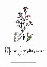 Herbarium Deckblatt Vorlage Kribbelbunt Blumen Deckblätter Gymnasium Blätter Beschriftung Bio Pressen Ideen Florian Decken Schulanfang Kunstunterricht Farbpaletten Fleischgericht Kinderbilder Orchideenarten sketch template