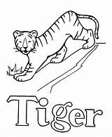 Coloring Pages Alphabet Letter Pre Tiger Color Abc Activity Easy Printables Printable Sheet Drawing Print Letters Sheets Objects Library Clipart sketch template