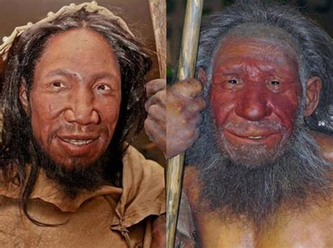 crafty neanderthals made string more evidence for their intelligence