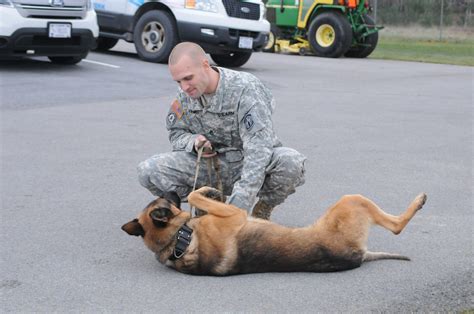 meet gowc  heroic dog layka  army dog     symbol