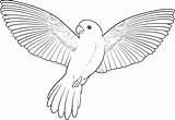 Parrot Coloring Pages Flying Printable Bird Birds Coloringme Colour Drawing Draw sketch template
