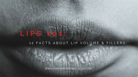 lips 101 12 facts about lip volume and filler