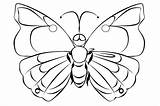 Caterpillar Butterfly Coloring Pages Color List Only Beautiful Getcolorings Butte Popular Print sketch template