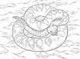 Coloring Pages Snake Snakes Diamond Rattle Colouring Back Rattlesnake Kids Parentune Worksheets sketch template