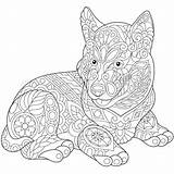 Dog Husky Coloring Pages Adults Siberian Adult Cute Zentangle Colouring Puppy Animal Printable Sheets Book Etsy Choose Board Print Stress sketch template