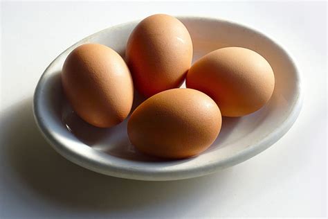 eggs brandywine area nutrition