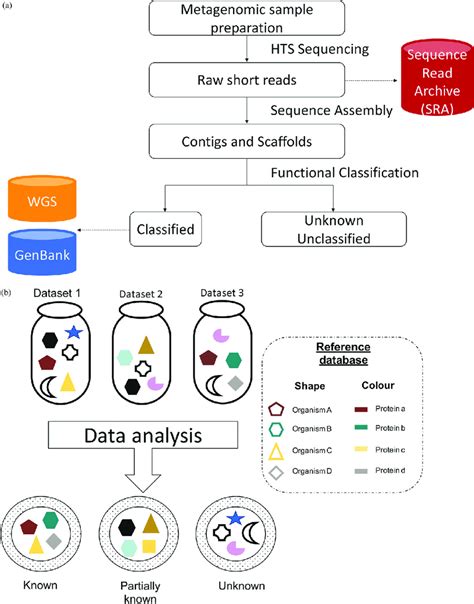 typical metagenomic analysis  data submission  public
