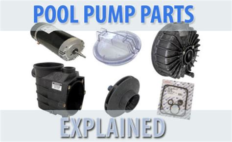 pool pump parts explained intheswim pool blog