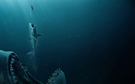 the meg 2018 4k wallpapers hd wallpapers