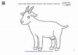 Goat Coloring Nanny Color sketch template