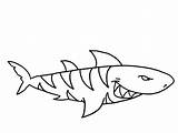 Sharks Coloring Pages Jose San Getdrawings sketch template