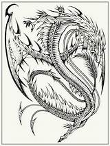 Dragon Coloring Pages Adults Realistic Printable Adult Chinese Lizard Evil Dragons Print Real Color Flying Cool Hard Only Getcolorings Library sketch template
