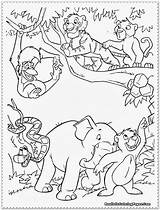 Jungle Coloring Animals Pages Drawing Library Clipart Animal Baby Easy sketch template
