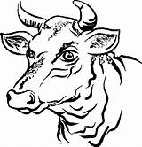 Coloring Pages Bull Animals Cow Cartoon Head Toros Taurus Dibujos Drawing Farm Printable Line Contour Cross Clipartbest Coloringpages1001 Drawings sketch template