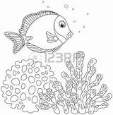 Sea Sponge Drawing Clipart Clipground Paintingvalley Illustration sketch template