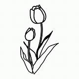 Blumen Ausmalen Osterglocken Malvorlagen Fensterbilder Tulpen Kostenlose Tulpe Blume Malvorlage Ausmalbilder Kinderbilder Bestimmt Papan Pilih sketch template