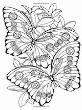 Butterflies sketch template