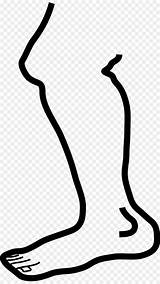 Leg Putih Kaki Kartun Pixabay Male Sketch sketch template