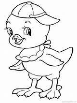 Coloring Baby Pages Chick Animals Printable Color sketch template