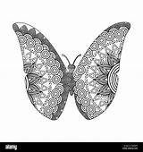 Zentangle Colorazione Farfalla Mariposa sketch template