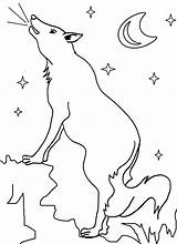 Coyote Coloring Pages Printable Wylie Wile Baby Template Cool2bkids Popular sketch template