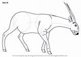 Saola Drawing Draw Step Necessary Improvements Finally Finish Animals Make Tutorials Wild sketch template