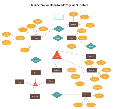 er diagram  hospital management system  relationship