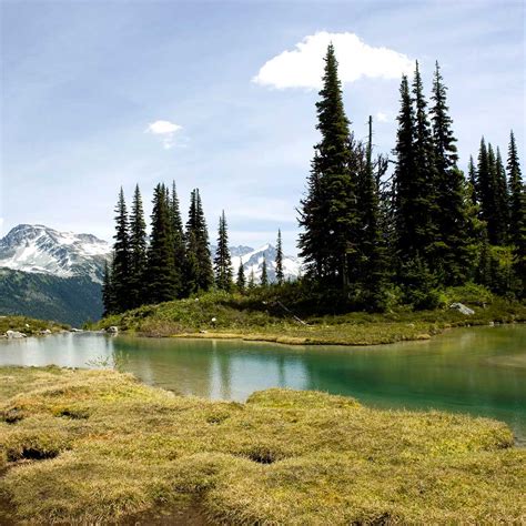 tips  visiting whistler   budget moon travel guides