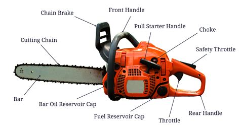 chainsaw safely cutting guide