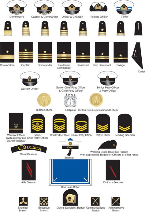 image 75 of naval officer ranks and insignia indexofmp3happyending75073