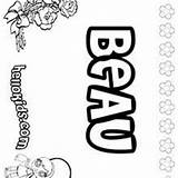 Beau Coloring Pages Hellokids Roses Beauty sketch template