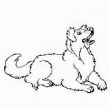 Shepherd Australian Coloring Pages Dog Lineart Drawing Cattle Printable Color Related Library Clip Getdrawings Coloringhome Deviantart Getcolorings Popular sketch template
