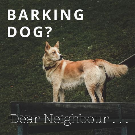 write  letter   neighbour   barking dog