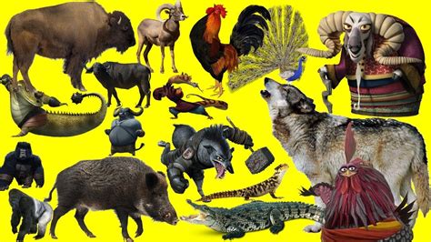 learn wild animals animal sounds learn animals  kids  kung