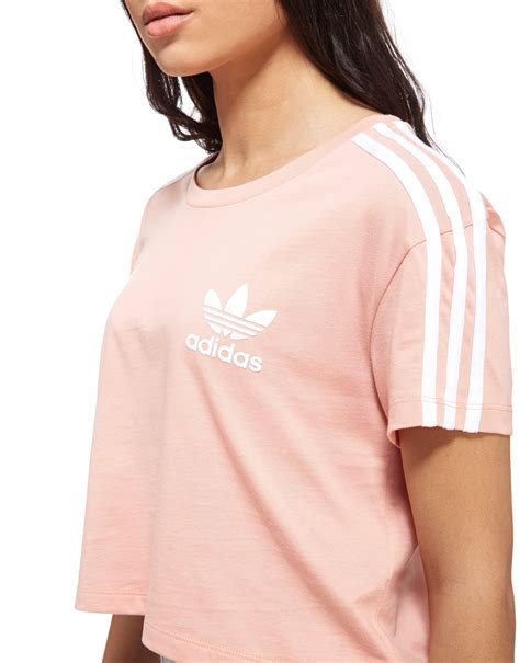 lyst adidas originals crop california  shirt  pink