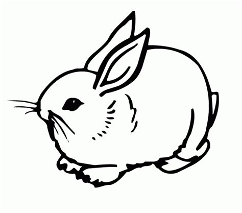 rabbits coloring pages   rabbits coloring pages png