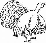 Coloring Turkey Pages Drawing Kids Turkeys Printable Print Feather Clipartmag sketch template