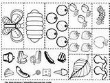 Caterpillar Raupe Nimmersatt Printables Preschool Everfreecoloring sketch template