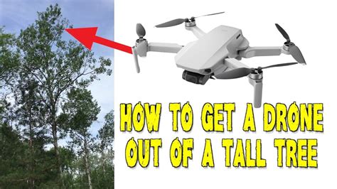 stuck drone    tall tree youtube