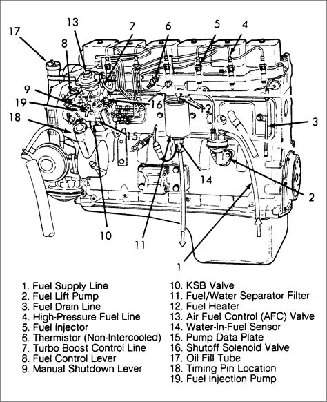 cummins  valve fuel  diagram diagrams resume template