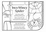 Spider Wincy Incy Bitsy Itsy Rhyme Rhymes sketch template
