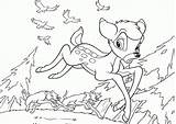 Coloring Bambi Pages Popular Thumper sketch template