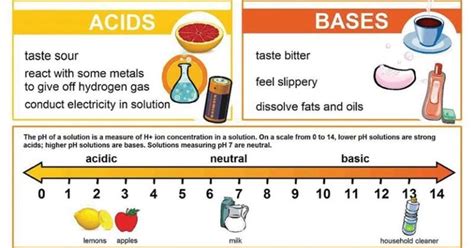 16 differences between acid and base acid vs base